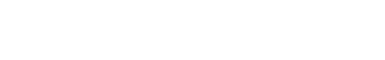 Islandpferde
vom Buchenhag